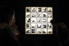 Lotte Reiniger Ausstellung | Führung: Susanne Marschall